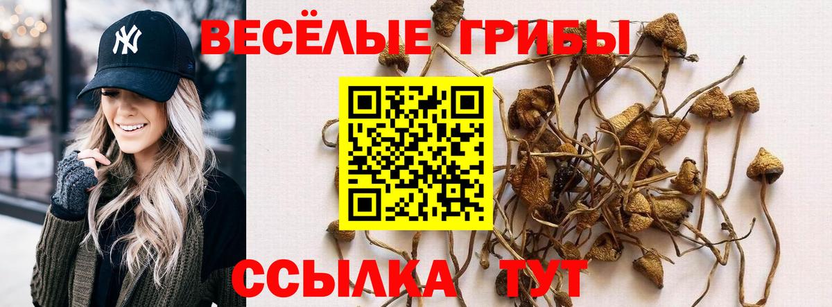 Псилоцибиновые грибы мухоморы Будённовск